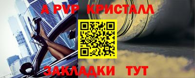 мет Кингисепп