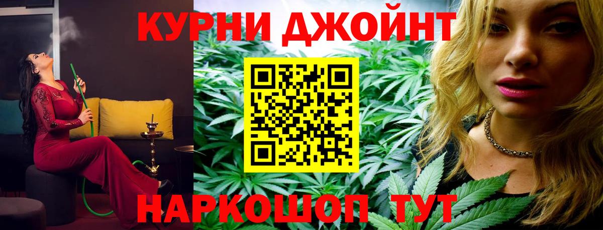 Канабис планчик Кохма